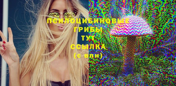 ПСИЛОЦИБИНОВЫЕ ГРИБЫ Алексин