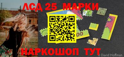 гидра Моздок