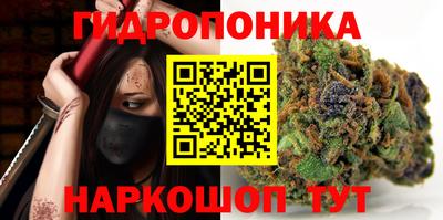 твердый Можга