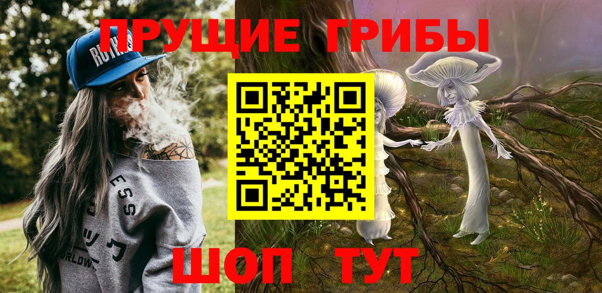 Галлюциногенные грибы GOLDEN TEACHER  Вход с VPN  Раменское  Псилоцибиновые грибы прущие грибы 