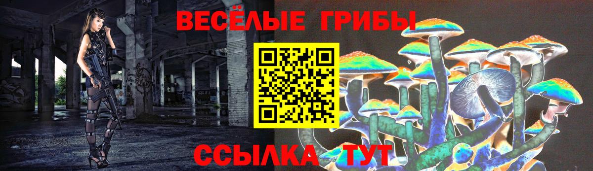 Галлюциногенные грибы Psilocybine cubensis Раменское